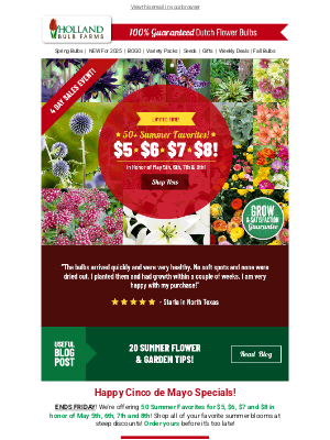 Cinco de Mayo 🌶️ 50+ Blooms for $5, $6, $7 & $8!