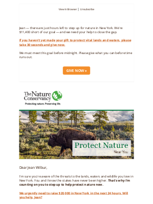 The Nature Conservancy - Midnight Deadline: New York fundraising goal