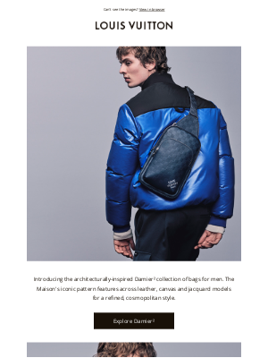 Louis Vuitton - Bold Elegance: The New Damier²