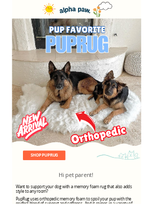 Alpha Paw - 🐕 New! Memory Foam Rug for your Pup
