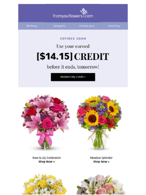 From You Flowers - REMINDER! Your [$14.15] Credit Expires Tomorrow!