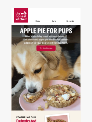 The Honest Kitchen - Your Pup’s Very Own Apple Pie Recipe 🥧