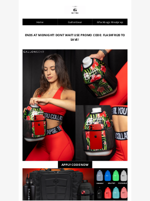 6 Pack Bags - WOW! DONT MISS!