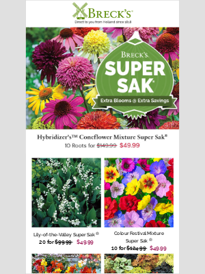 Breck’s Bulbs - Super Saks: Bulk Bulbs and Perennials at Wholesale Prices