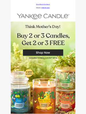 The Yankee Candle Company - Buy 2 or 3, Get 2 or 3 FREE! Spring Candle Sale!