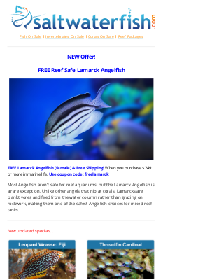 Saltwaterfish - 🐠FREE Reef Safe Angelfish! New