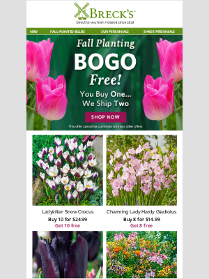 Breck’s Bulbs - BOGO for It! Shop Our Epic 2-for-1 Deals