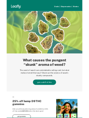 Related Email 2