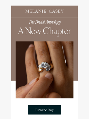 Melanie Casey - Preview the Next Chapter 📖