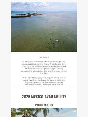 tridentflyfishing.com - Prime Availability in Mexico