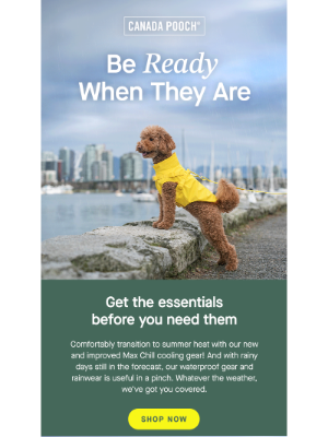 Canada Pooch - Must-Haves for May's Weather Forecast 🌸🌞🌦️