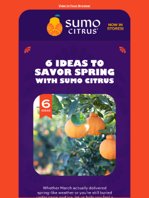 Sumo Citrus - The Recipe You Must Make Before Sumo Citrus Season Ends