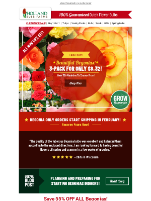 Holland Bulb Farms - BEGONIA BARGAINS 🎉 3-Pack For $8.32!