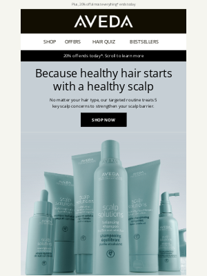 Aveda (United Kingdom) - Healthy scalp = healthy hair