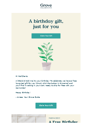 Email about birthday present suggestion