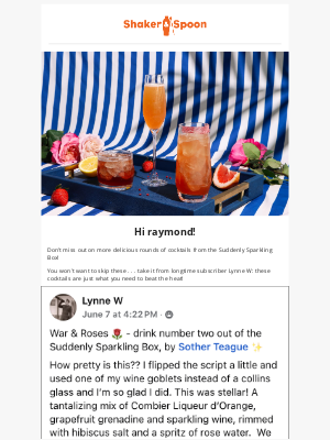 Shaker and Spoon - 🫧✨ Celebrate summer with NEW bubbly cocktail kits!