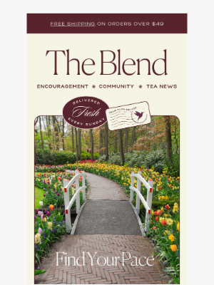 Plum Deluxe - The Blend: Finding Your Pace 🏡