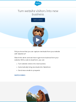 Salesforce - How to use your website to capture leads