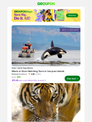 Groupon - Whale or Orcas Watching Tours in San Juan Islands