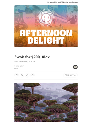 Whalebone - Ewok for $200, Alex ☀️