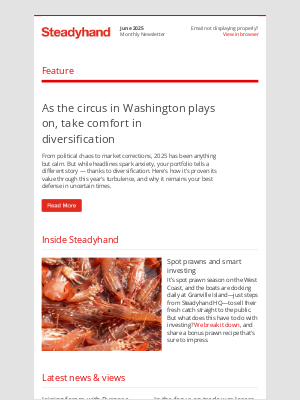 Steadyhand (Canada) - Steadyhand Monthly Newsletter — June 2025