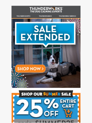ThunderWorks Inc - If July 4th was rough for your pet…
