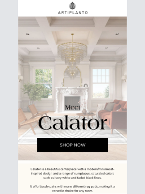 artiplanto - Meet the Calator Rug 🖤