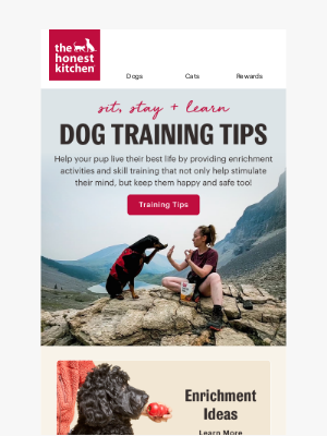 The Honest Kitchen - Is Your Dog Bored? Try These Training & Enrichment Ideas! 🐶