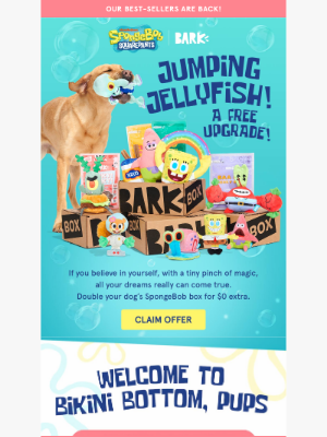 BarkBox - Don’t Miss the Drop: SpongeBob Box + FREE Toys!