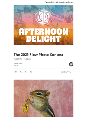 Whalebone - The 2025 Flow Photo Contest ☀️