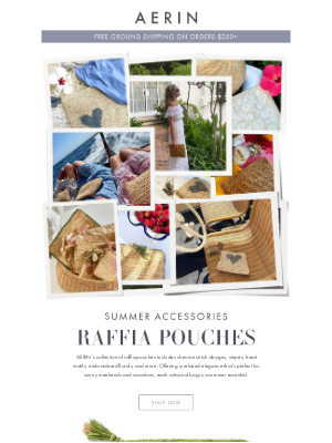 AERIN LLC - Raffia Pouches for Summer