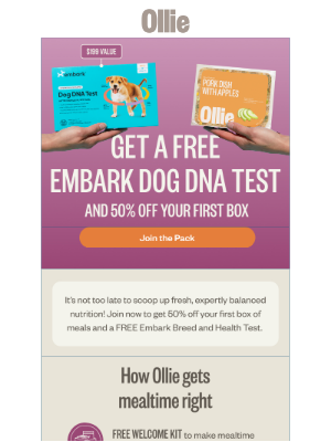 Ollie - ⚠️Last Chance! Don’t miss your dog’s FREE DNA test⚠️