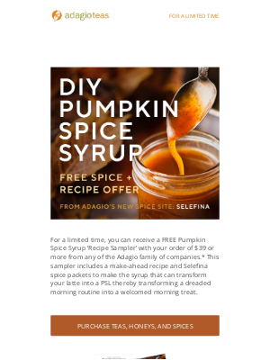 Adagio Teas - DIY Pumpkin Spice Syrup Recipe + Giveaway