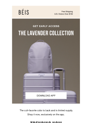 BEIS - ATTN LAVENDER LOVERS