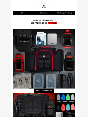 6 Pack Bags - FLASH SALE! TODAY ONLY!