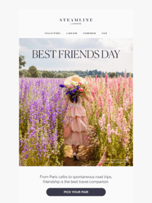 Steamline Luggage - Celebrate Friendship & the Journey