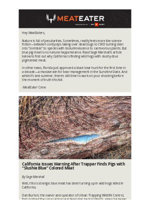 MeatEater - Blue Pig Meat?