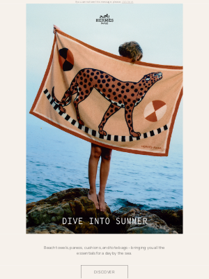 Hermes USA - Dive into summer