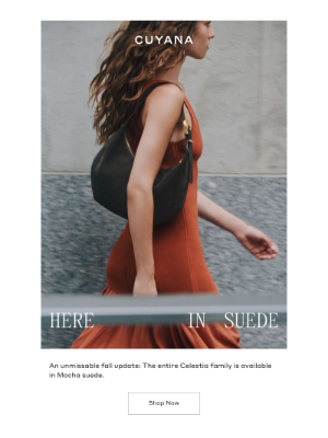 Cuyana - New in Suede