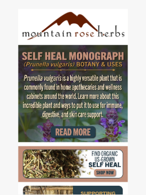 Mountain Rose Herbs - This Herb is One of the Most Universal Tools to Have In Your Wellness Kit