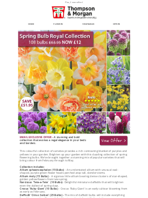 Thompson & Morgan (United Kingdom) - £63 Spring Bulb Bundle NOW £12!