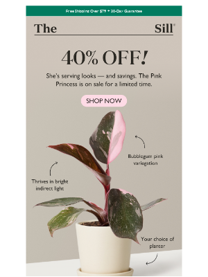The Sill - A community favorite is finally on sale
