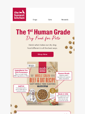 The Honest Kitchen - The 1st Human Grade Dry Dog Food 🐶