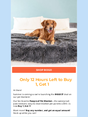 Alpha Paw - 🚨 Last Chance! BOGO Ends in 12 Hours
