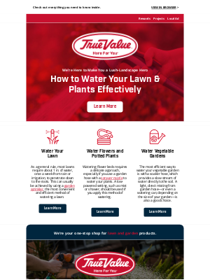 True Value - 💧 How to Water Your Lawn & Plants Effectively