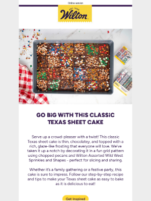 Wilton Cake Decorating & Recipes - Sheet Cake, But Make It Texas-Sized 🤠
