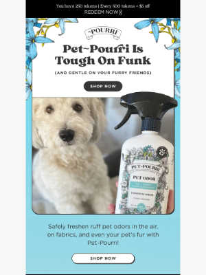 Poo~Pourri - Ruff Odors? Meet Their Match 🐕