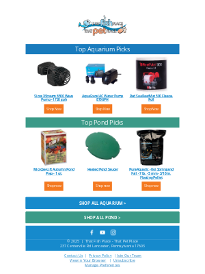 That Pet Place - Make a Splash with Our Favorites!