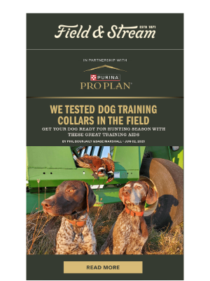 Field & Stream - Gundog EXCLUSIVE: Top-Tier Trainer Secrets