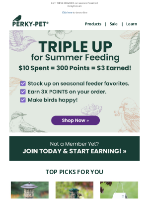 Perky Pet Feeders - 3X MORE Reasons to Celebrate 🎆🎆🎆